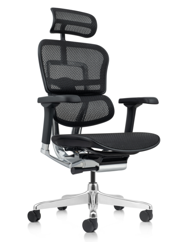 ERGOHUMAN Elite II